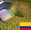 Caf� vert : Colombie Excelso Extra  (non torr�fi�)